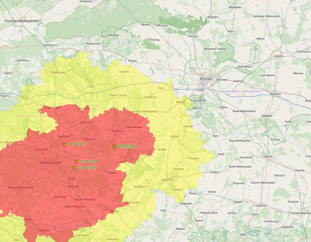 ASF -wielkopolska